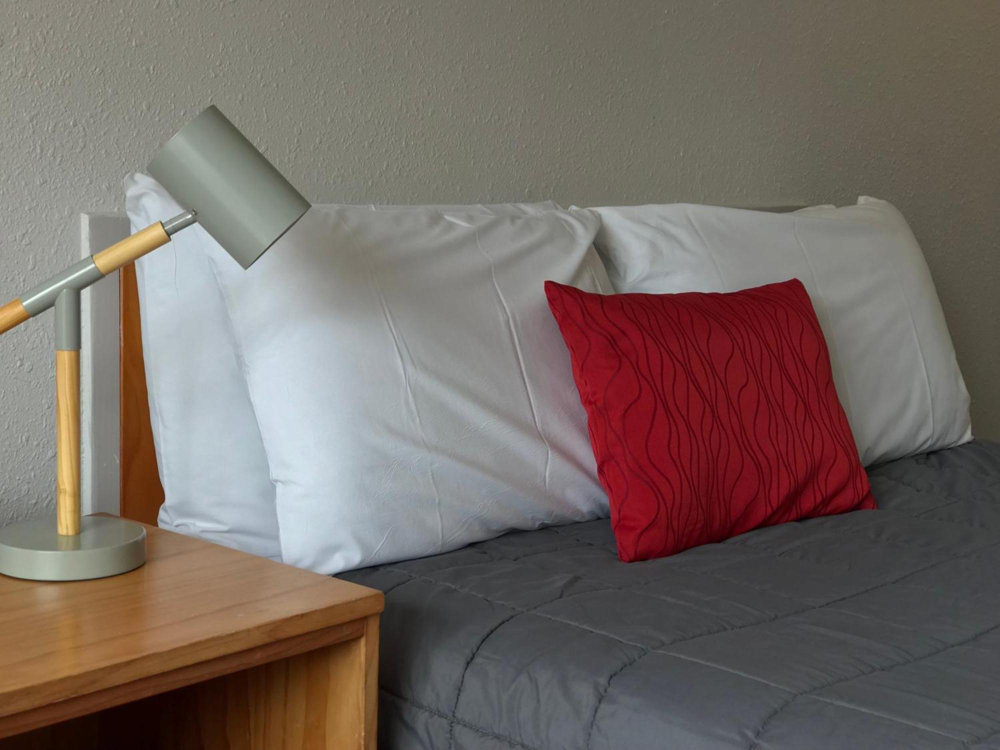 Edelweiss Motel Paihia Chambre photo