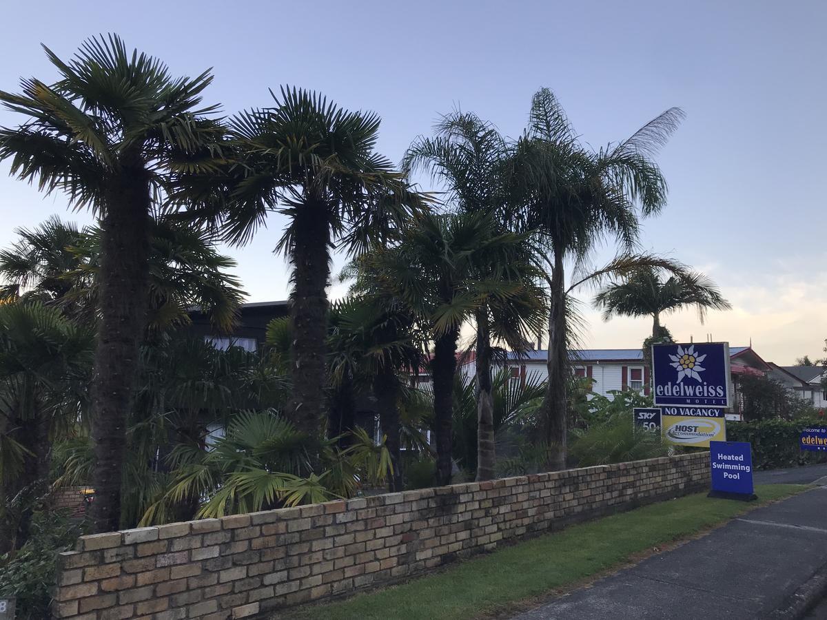 Edelweiss Motel Paihia Extérieur photo